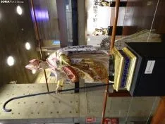 Una imagen de la exposición que alberga La Audiencia. /SN
