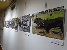 Una imagen de la apertura de la muestra. /SN