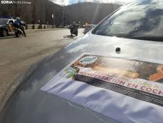 Foto 27 - Galer&iacute;a de im&aacute;genes: unas 300 personas reclaman libertad educativa y rechazan la Ley Cela&aacute;