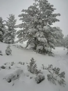Nevada en el Urbión. /Agustín Sandoval.