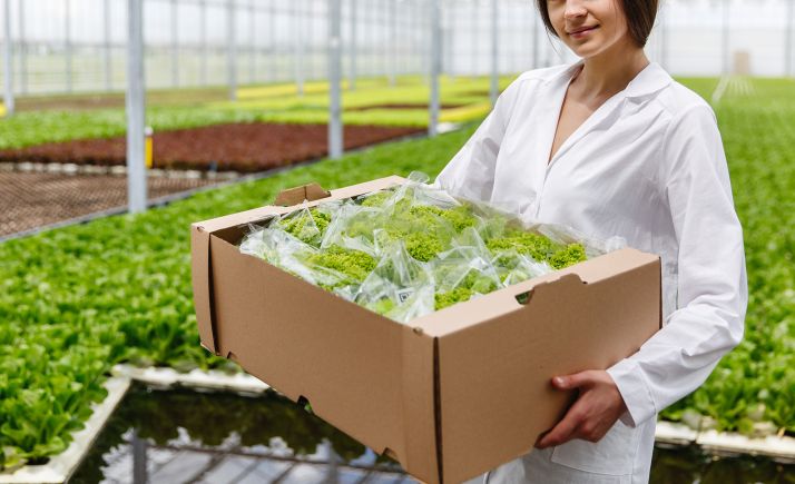 Con las nuevas ayudas convocadas hoy, la Junta espera la implantación de 50.000 hectáreas de agricultura ecológica