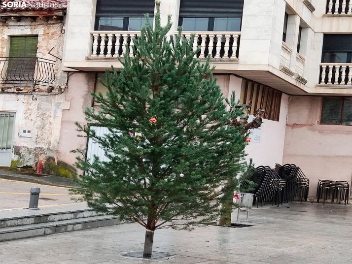 San Leonardo planta su árbol de Navidad para ser adornado por los niños