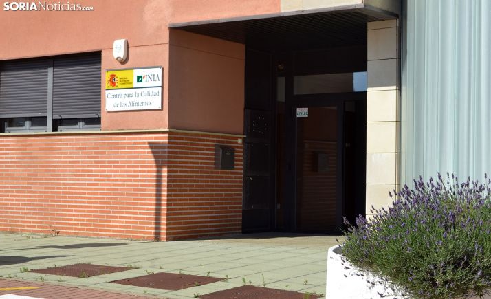 CCOO teme por el cierre del Centro de los Alimentos