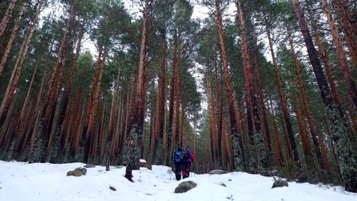 VÍDEO: La nieve aguanta en las cumbres de Urbión.
