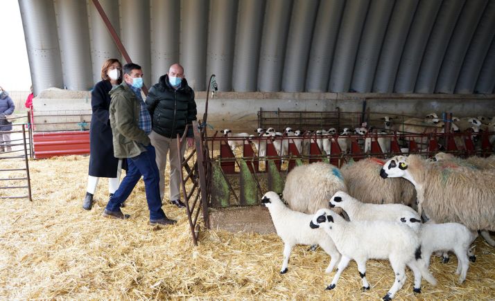 Bajo los marchamos de Tierra de Sabor y la IGP Lechazo de CyL se comercializan más de 2.200 toneladas de lechazo anualmente