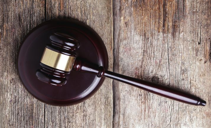 La Audiencia de Ávila absuelve a dos cazadores condenados por abatir un lobo