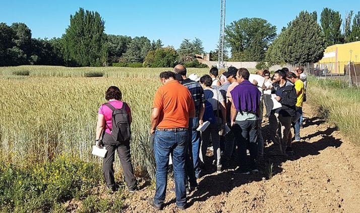 La Junta aprueba 2,9 M&euro; para avanzar en las Estrategias de Desarrollo Local Leader