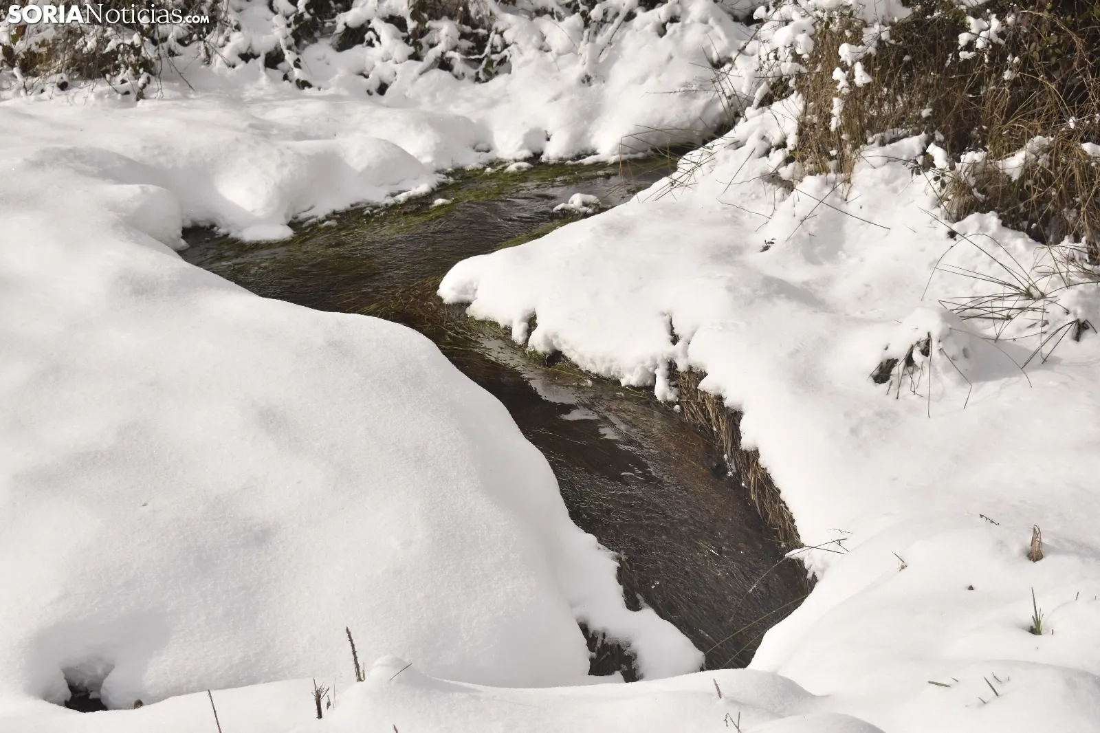 Nieve en Covaleda.