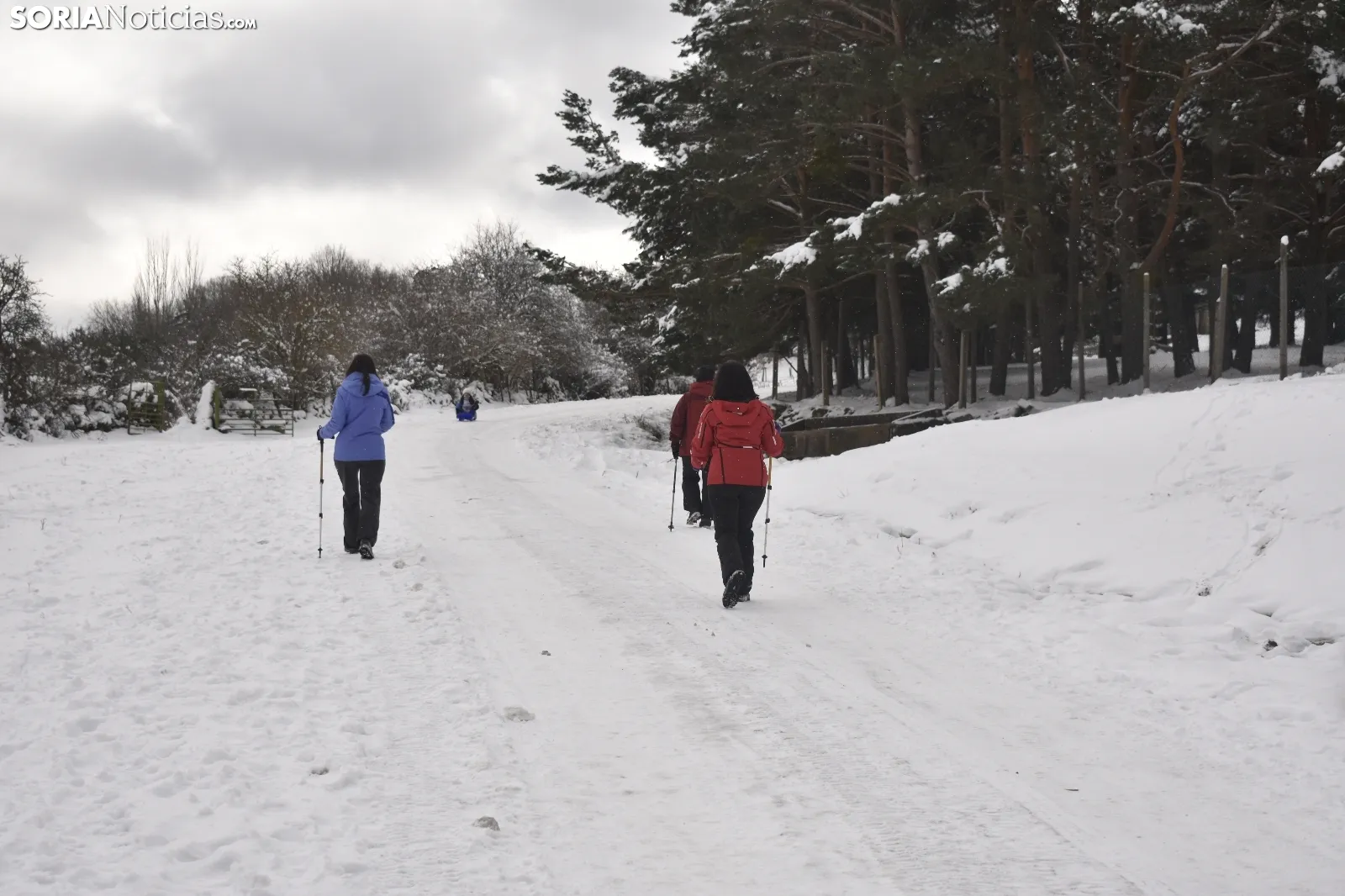 Nieve en Covaleda.