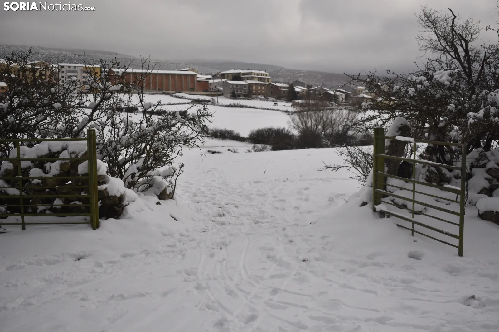 Nieve en Covaleda.