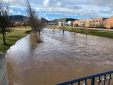 Una imagen del cauce hoy en el municipio burgense. /SN