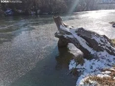 Una imagen del Duero en su cauce por la capital. /SN