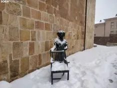 Paseo por la nevada Soria.