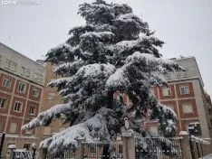 Paseo por la nevada Soria.