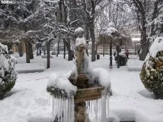 Paseo por la nevada Soria.