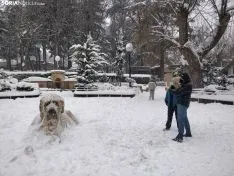 Paseo por la nevada Soria.