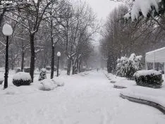 Paseo por la nevada Soria.