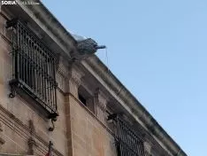 Foto 8 - La resaca de Filomena: Cuidado con el suelo&hellip; pero mire tambi&eacute;n hacia arriba