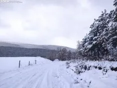 Nieve en Covaleda.