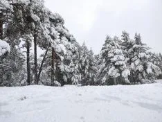 Nieve en Covaleda.