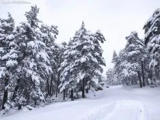 Nieve en Covaleda.