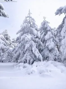 Nieve en Covaleda.