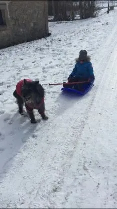 Juegos en la nieve.