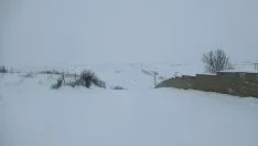 Nevada histórica en Soria.
