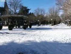 Foto 15 - La nevada de la ciudad de Soria en 50 im&aacute;genes, una semana despu&eacute;s