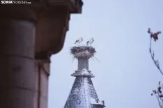 Filomena en Soria. /Viksar Fotografía