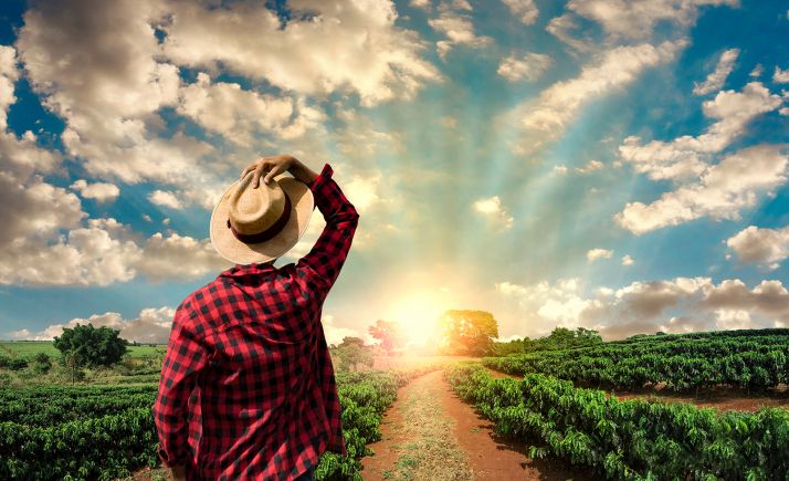 El Acuerdo para la Transición Justa frente al Cambio Climático 2018-2020 cumple el 93 % de las medidas previstas