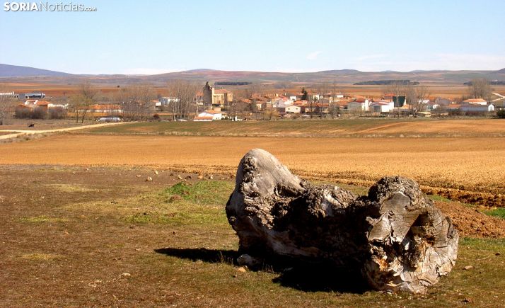 La construcción de un parque fotovoltaico en Alconaba creará 350 puestos de trabajo