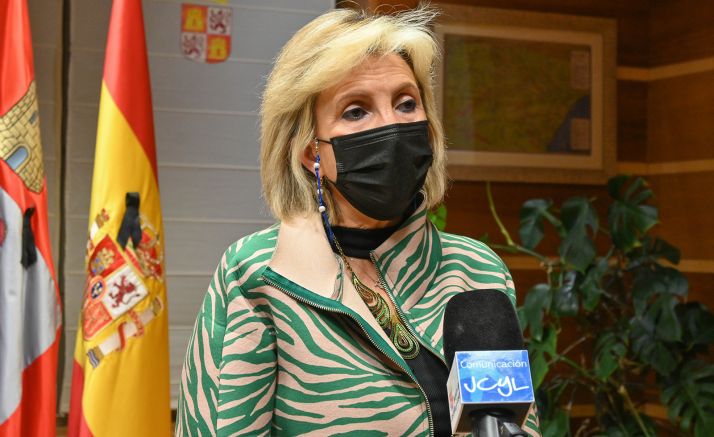 CyL pide al Gobierno acción y una cogobernanza efectiva para la gestión de la tercera ola del SARS-CoV-2