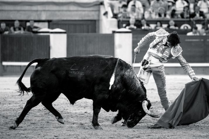 Domingo Delgado de la Cámara cierra el Ciclo Taurino de Navidad