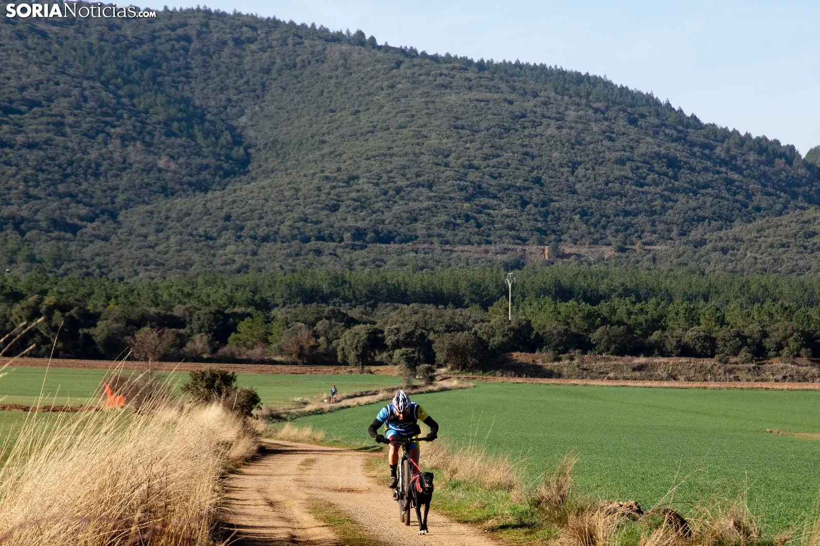 Campeonato de España de Mushing Tierra Olvega / María Ferrer