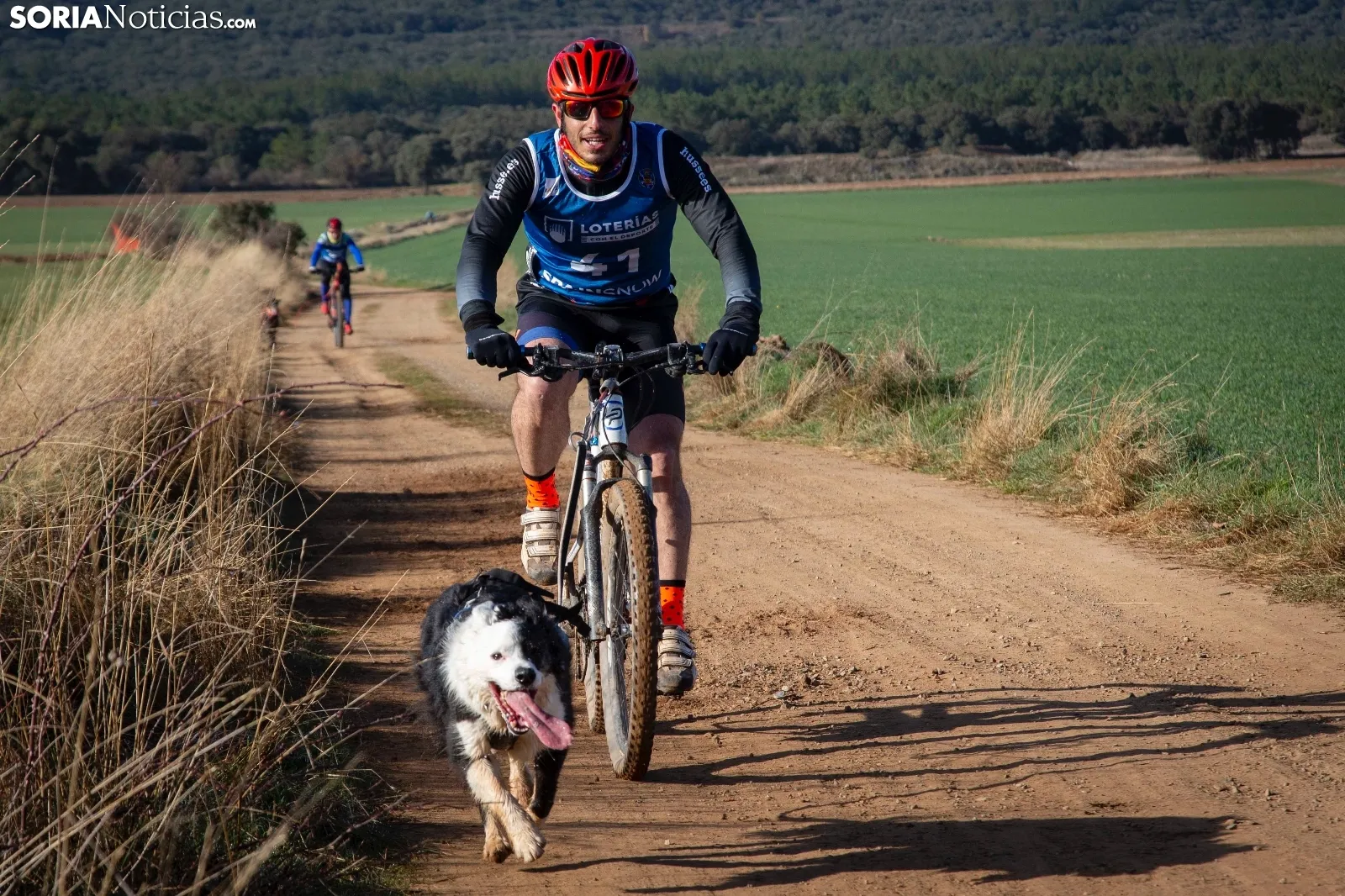 Campeonato de España de Mushing Tierra Olvega / María Ferrer