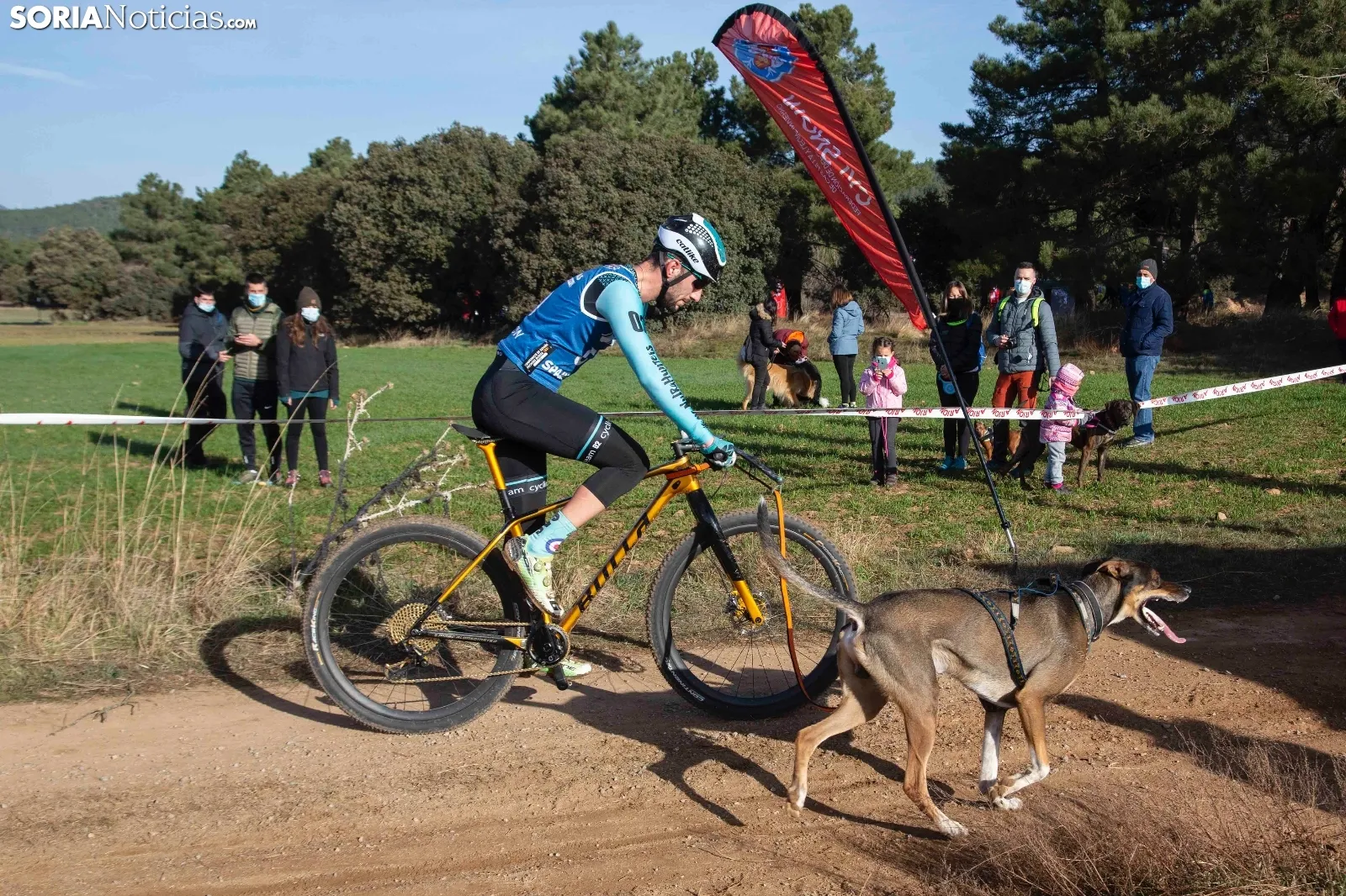 Campeonato de España de Mushing Tierra Olvega / María Ferrer