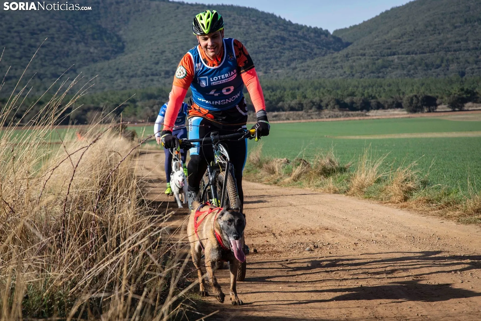 Campeonato de España de Mushing Tierra Olvega / María Ferrer