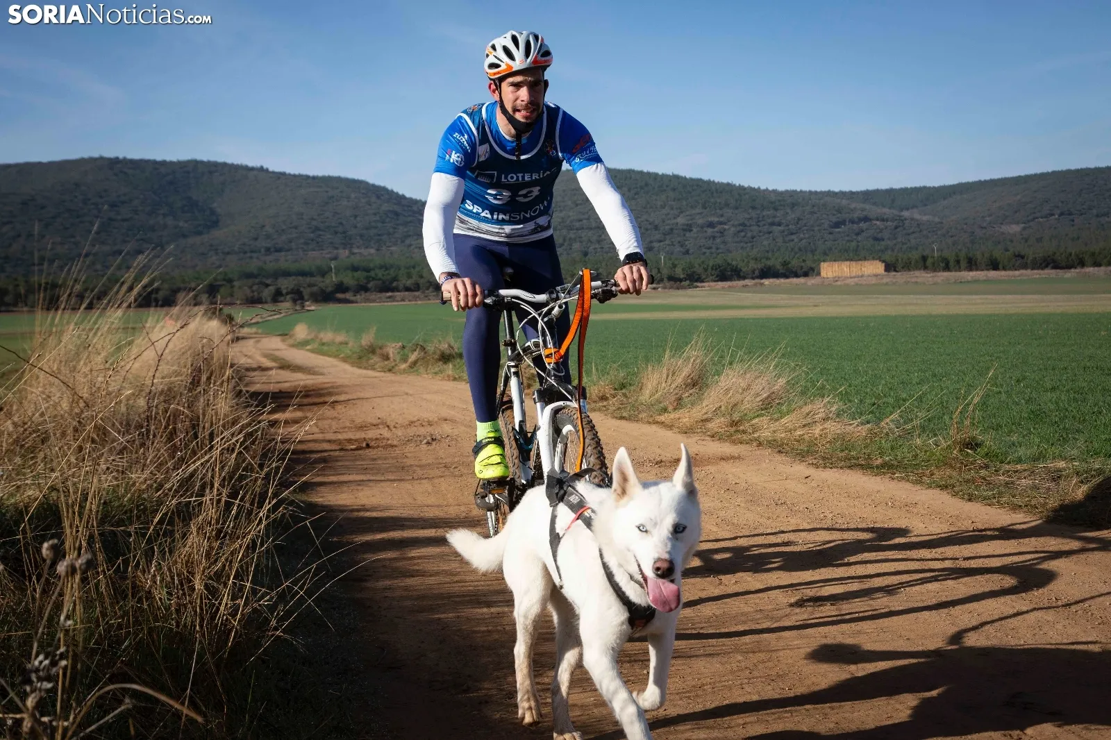 Campeonato de España de Mushing Tierra Olvega / María Ferrer