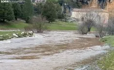Una imagen del cauce en la zona. /Judith Muñoz Hernández