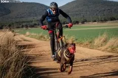 Campeonato de España de Mushing Tierra Olvega / María Ferrer