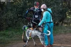 Campeonato de España de Mushing Tierra Olvega / María Ferrer
