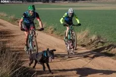 Campeonato de España de Mushing Tierra Olvega / María Ferrer