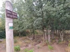Foto 12 - La ruta de las Tres Cascadas en Covaleda: para no perd&eacute;rselo