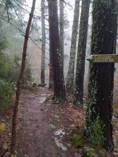Foto 5 - La ruta de las Tres Cascadas en Covaleda: para no perd&eacute;rselo