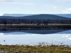 Foto 4 - La Laguna de Hinojosa de la Sierra reaparece con la nieve y las lluvias
