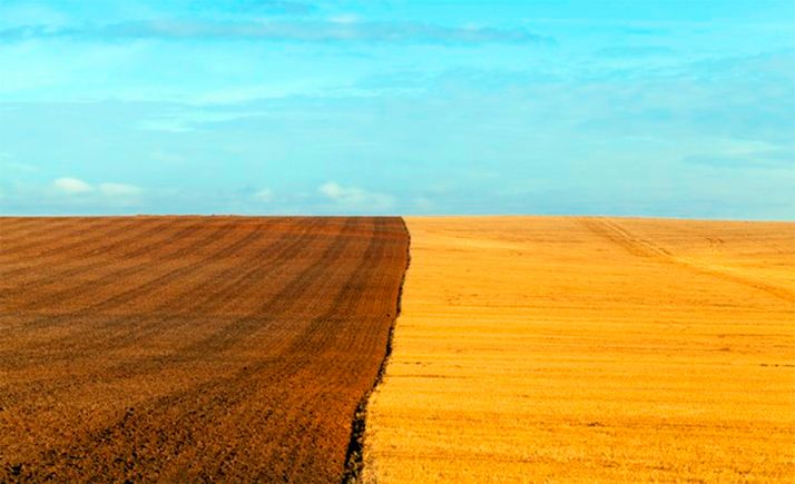 Unicaja vuelve a participar en la campaña PAC con anticipos y más de 325 M&euro; en préstamos