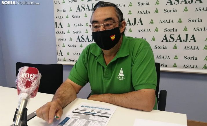 Carmelo Gómez, presidente de Asaja en Soria. /SN