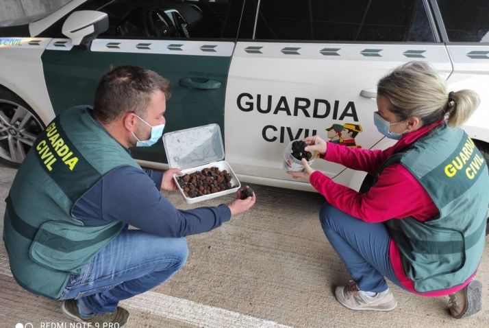 Detenidas tres personas en Soria por tres meses de robos en una finca trufera