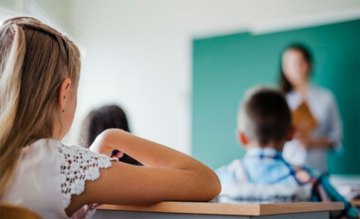 Los docentes denuncian el absoluto desprecio de la consejera  hacia el colectivo